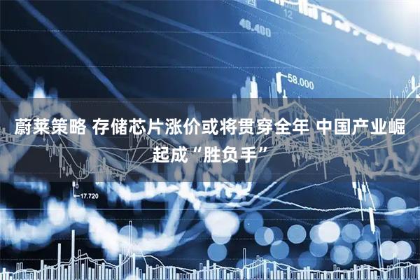 蔚莱策略 存储芯片涨价或将贯穿全年 中国产业崛起成“胜负手”