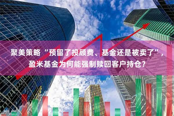 聚美策略 “预留了投顾费、基金还是被卖了”，盈米基金为何能强制赎回客户持仓？