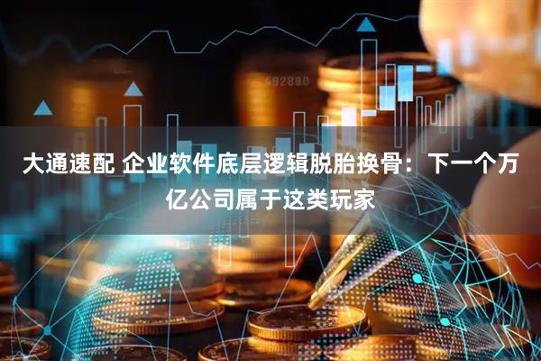 大通速配 企业软件底层逻辑脱胎换骨：下一个万亿公司属于这类玩家