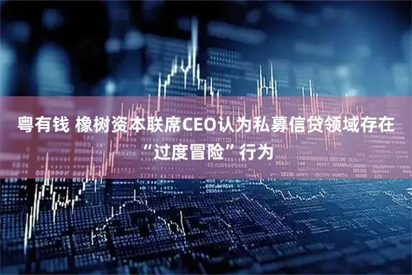 粤有钱 橡树资本联席CEO认为私募信贷领域存在“过度冒险”行为