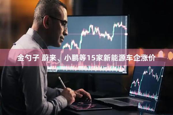 金勺子 蔚来、小鹏等15家新能源车企涨价