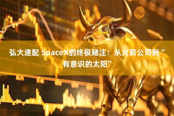 弘大速配 SpaceX的终极赌注：从火箭公司到“有意识的太阳”