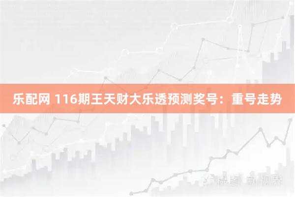 乐配网 116期王天财大乐透预测奖号：重号走势